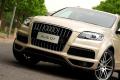 奧迪(進口) 奧迪Q7 2011款 3.0 TFSI 專享型(245kW)
