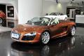 奧迪(進(jìn)口) 奧迪R8 2011款 Spyder 5.2 FSI quattro