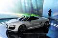 奧迪(進口) 奧迪R8 2011款 Spyder 5.2 FSI quattro