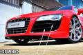 奧迪(進(jìn)口) 奧迪R8 2010款 5.2 FSI quattro