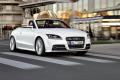奧迪(進口) 奧迪TT 2011款 TTS Roadster 2.0TFSI quattro