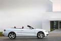 奧迪A5  2010款 2.0TSI Cabriolet