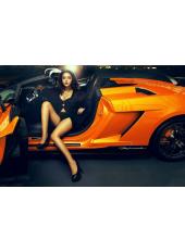 激情與速度的碰撞