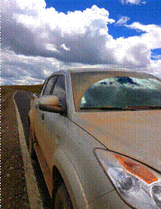 域虎單騎游西藏 形單影只“野”自由