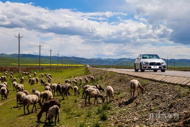 2014款 2.0T 舒適版