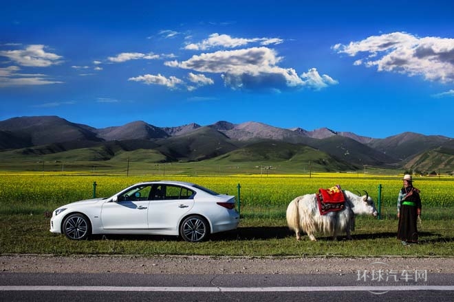 2014款2.0T豪華運動版