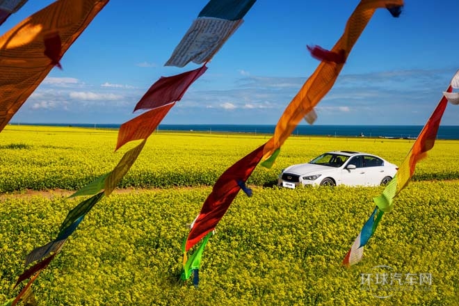 2014款2.0T豪華運動版