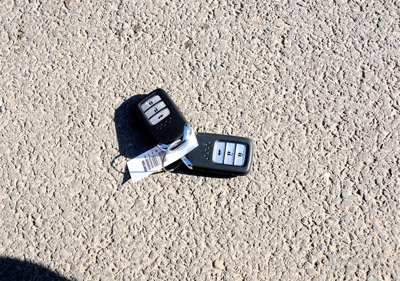 2014款 3.0L VTI 尊貴版