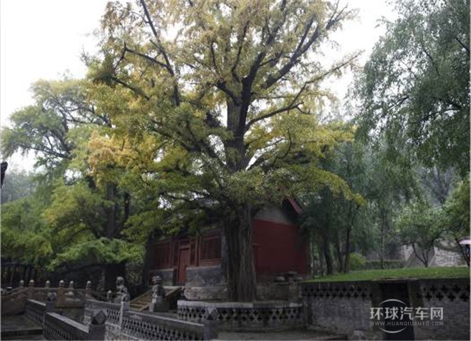 2014款 3.0L AWD尊貴導版航