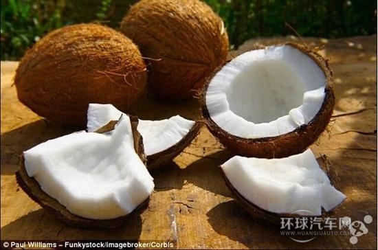 椰芯可存儲氫氣用于制造新一代氫動力汽車