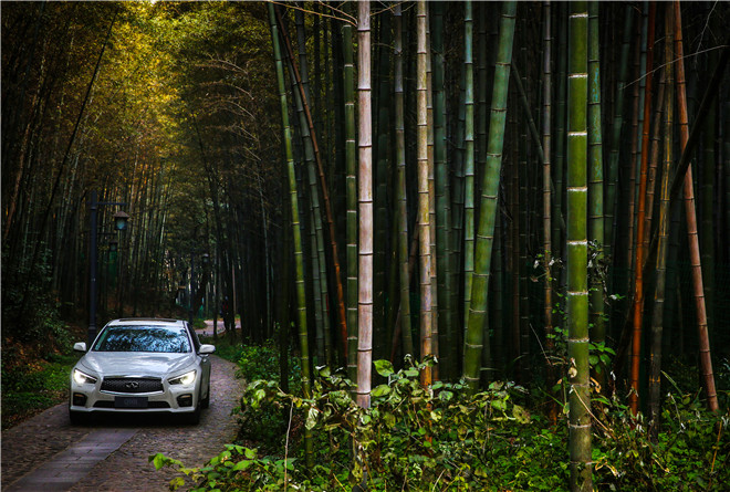 2015款 2.0T 運動版