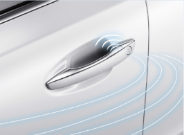 2015款 2.0L 自動致逸版