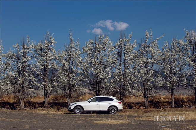 2015款 2.5L 尊享版