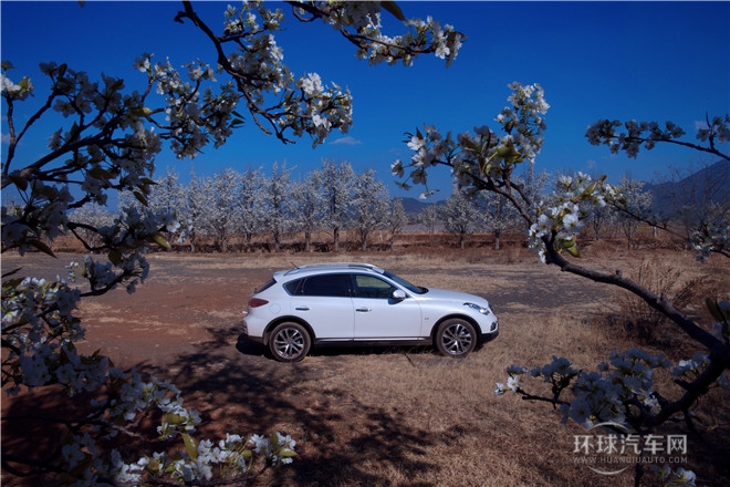 2015款 2.5L 尊享版