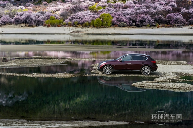 2015款 2.5L 尊享版