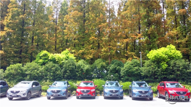全新Mazda CX-5暑期家庭總動員上海崇明島”帶娃心錄記”