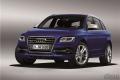 2014款 SQ5 3.0TFSI quattro