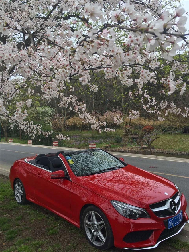 凌特 2016款 2.1T暢旅 中軸版