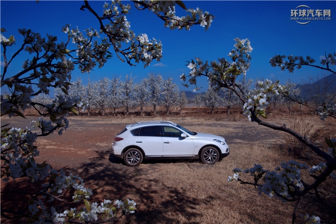 英菲尼迪（進(jìn)口）/英菲尼迪QX50/2.5L 四驅(qū)尊雅版