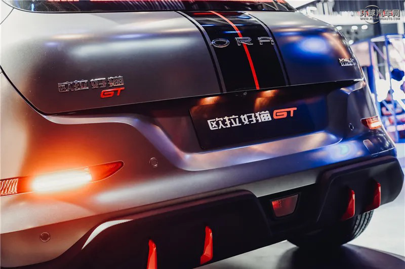 專訪喵星人院長余飛：解碼歐拉玩出圈的秘密