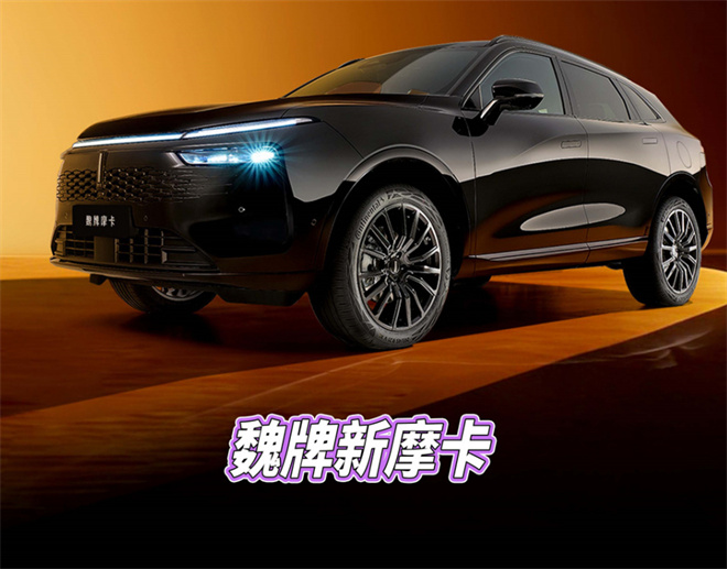 魏牌黑武士，21年較真出來的“暗黑騎士”